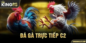 Đá gà trực tiếp c2